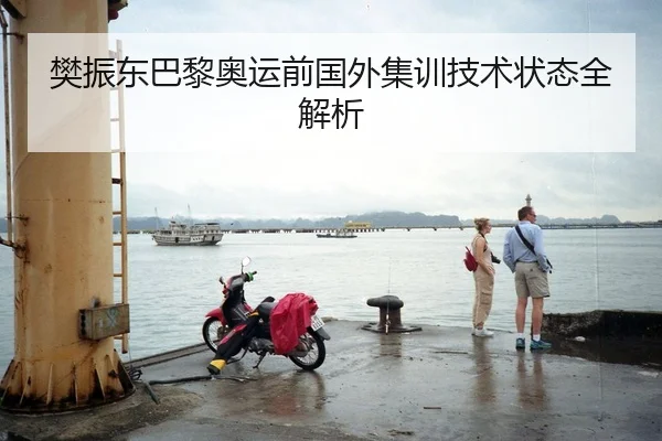 樊振东巴黎奥运前国外集训技术状态全解析